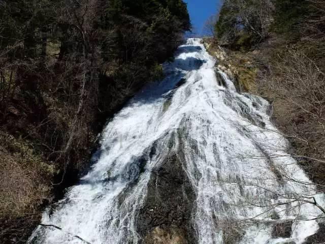 世界上最大的半岛和岛屿是？游戏画面